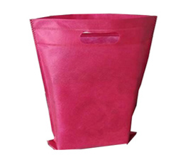 Cheap non woven bag